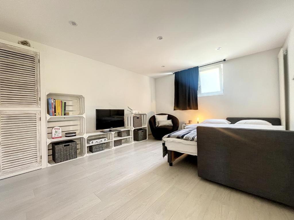 Appartement Moderne Avec Terrasse Et Piscine A Chatel Sur Bex Екстер'єр фото